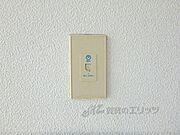 電話線