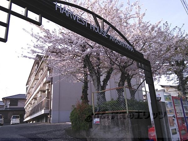 京都府京都市西京区嵐山樋ノ上町(賃貸マンション1K・2階・24.82㎡)の写真 その1