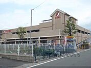 マツモト　上桂店まで390メートル