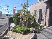 植栽