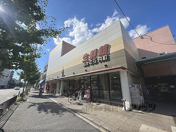 画像21:生鮮館なかむら　円町店まで520メートル