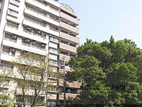 マッケンジー東堀川 1002 ｜ 京都府京都市上京区堀川通一条下る主計町（賃貸マンション2K・10階・36.00㎡） その1