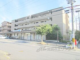 ドムス岩倉 203 ｜ 京都府京都市左京区岩倉中町（賃貸マンション3LDK・2階・58.67㎡） その1