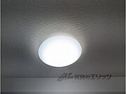 照明