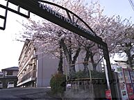 京都府京都市西京区嵐山樋ノ上町：物件画像／株式会社エリッツ　立命館大学前店