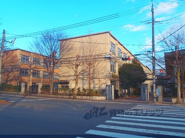 画像8:加茂川中学校まで500メートル