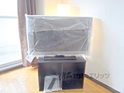 テレビ