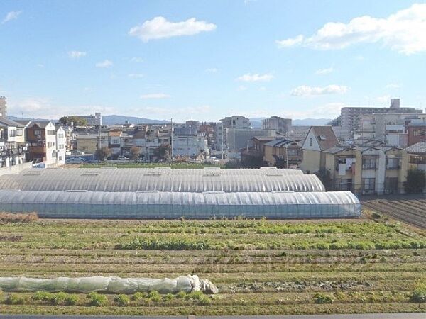 京都府京都市右京区太秦野元町(賃貸マンション2K・2階・27.54㎡)の写真 その20