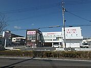 コスモス　祥栄店まで1200メートル