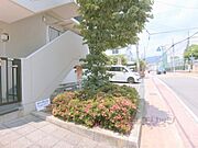 植栽