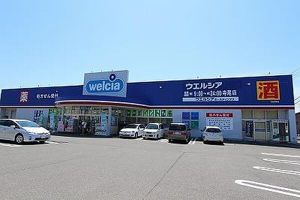 画像13:ウエルシア新潟寺尾店(919m)