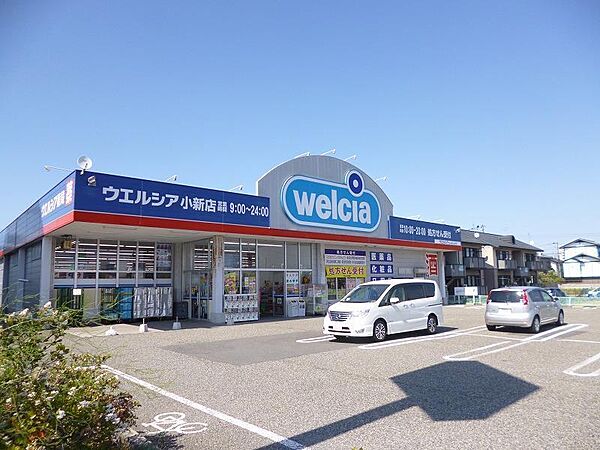 画像27:ウエルシア新潟小新店(681m)