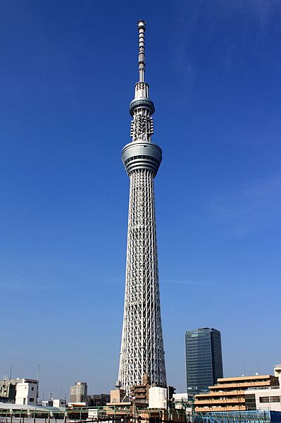 ラ・ブークル ｜東京都墨田区押上2丁目(賃貸マンション1LDK・4階・29.02㎡)の写真 その22