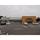 ドラックストア「とをしや薬局三郷店まで2250ｍ」