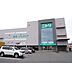 周辺：ホームセンター「ニトリ松本高宮店まで781m」