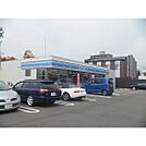 コンビニ「ローソン長野東通り店まで350ｍ」