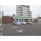 コンビニ「ファミリーマート長野早苗町店まで384ｍ」