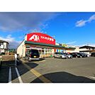 ドラックストア「クスリのアオキ石渡店まで1382ｍ」