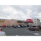 ドラックストア「クスリのアオキ三輪店まで921ｍ」