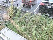 ベランダ