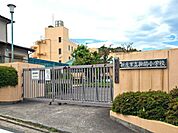 新座市立新開小学校 705m
