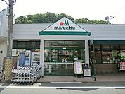 マルエツ 成増団地店 1158m