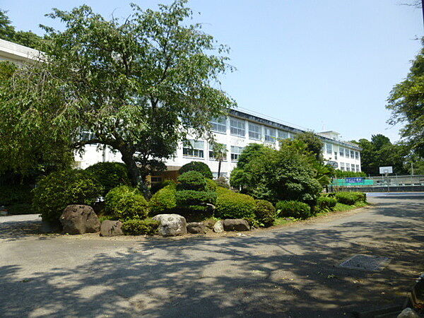画像15:中学校「小田原市立城南中学校まで1634m」