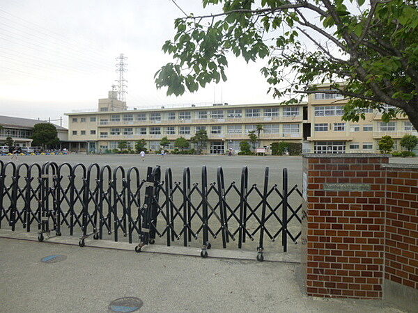 画像29:小学校「小田原市立桜井小学校まで731m」