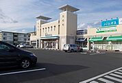 その他「パシオス＆善クリニックまで55m」
