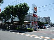 その他「グルメシティ鴨宮店まで503m」