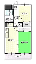ディアコートM 2DKの間取図画像