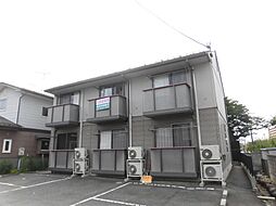 3 / 6