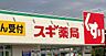 周辺：ドラックストア 「スギ薬局船橋藤原店まで739m」