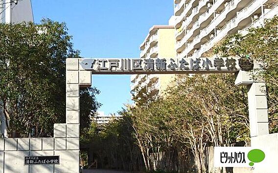 小学校「江戸川...