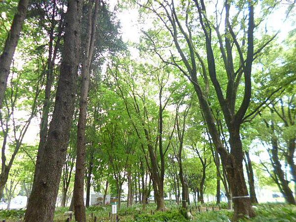 愛知県名古屋市中区大須１丁目(賃貸マンション1K・4階・33.35㎡)の写真 その12