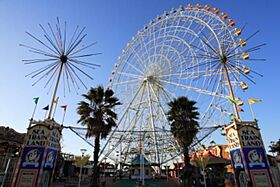 愛知県名古屋市港区善南町7番（賃貸マンション1LDK・3階・42.25㎡） その20