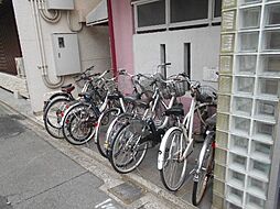 11 / 17
