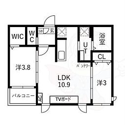 Tidy大江