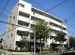ウィステリア
