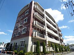 ルネ　シェスタ