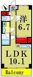 While椿 1LDKの間取図画像