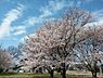 周辺：【公園】加須はなさき公園まで1320ｍ