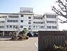 周辺：【中学校】佐野市立南中学校まで910ｍ