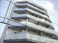 東京都江東区牡丹1丁目：物件画像／株式会社ミニミニ城東　門前仲町店