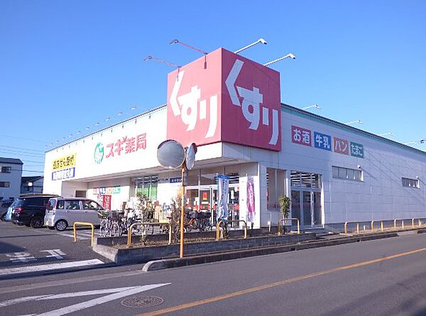 画像18:スギ薬局 川口元郷店（910m）