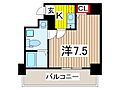 アルファコート西川口-1911階9.1万円