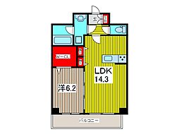 ヌーヴォトルチェ 1LDKの間取図画像