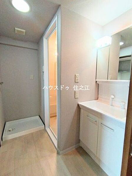 大きな三面鏡付きの洗面台です。たっぷりの収納を設けたシャワー付です