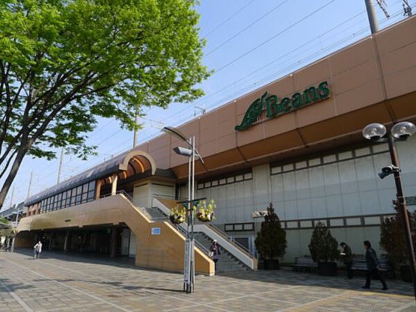 オーキッド