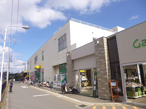 レジデンス・ミナミII 201｜千葉県松戸市二十世紀が丘萩町(賃貸アパート1LDK・2階・46.90㎡)の写真 その17
